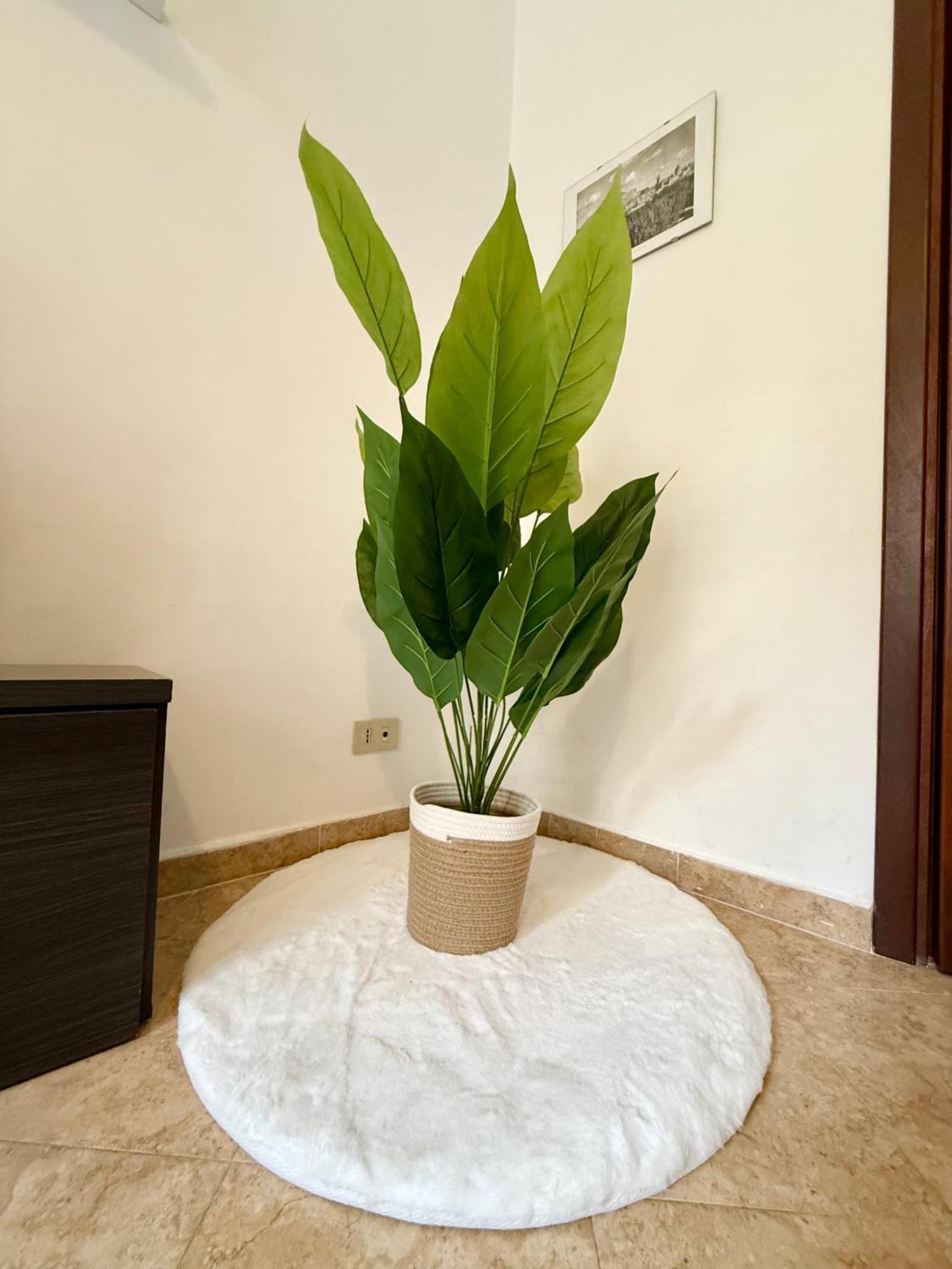 Gigi'S Apartment Palermo Ngoại thất bức ảnh